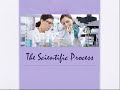 Scientific Method and Research Principles