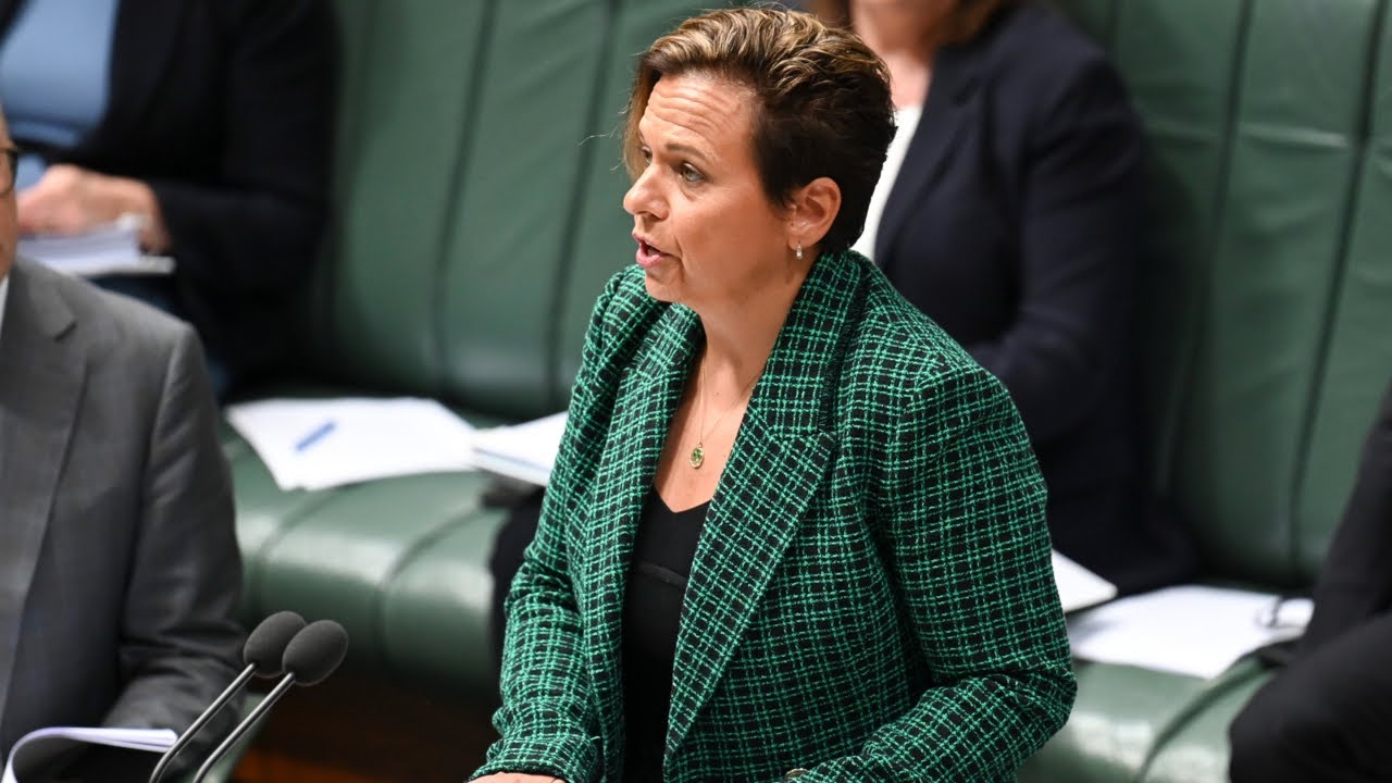 Albanese Govt to Commence Consultation to Strengthen Online Safety Expectations