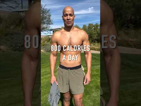 800 CALORIES A DAY DIET