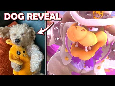 DOG REVEAL + 2-Player Mario Odyssey VS BOWSER FIGHT!! (Sister's first playthrough!)