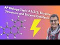 Enzyme Function and Metabolism Concepts
