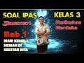Kuis Mengenal Hewan
