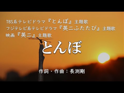 【カラオケ】とんぼ/長渕 剛 【高音質 練習用】