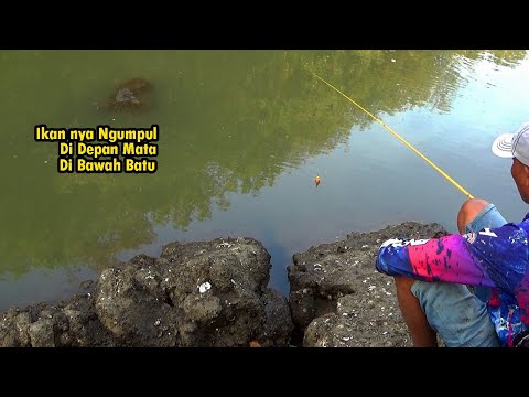 Spot muara jenis ikan nya memang enak enak,,langsung bakar2 di tempat