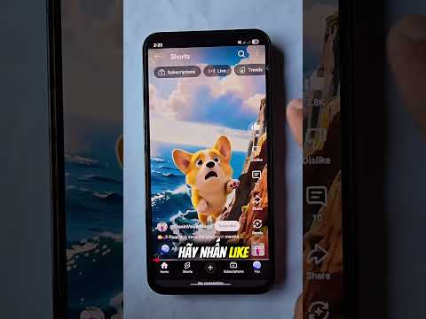 Nếu bạn ngã khỏi bể bơi vô cực - Điều gì sẽ xảy ra?