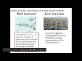 Plant Sampling Techniques and Methods