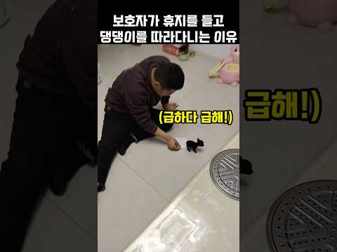 "급하다 급해!".. 보호자가 휴지를 들고 댕댕이를 따라다니는 이유