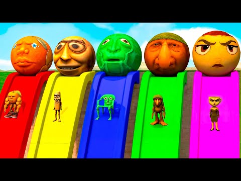 Long Slide Game With Cow Elephant Gorilla Hippopotamus Tiger 3d Animal Game Funny 3d Animals