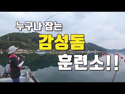 [다리tv] 찌가 쏙쏙!! 감성돔 훈련소가 오픈 되었습니다!!! 느나느나!!!