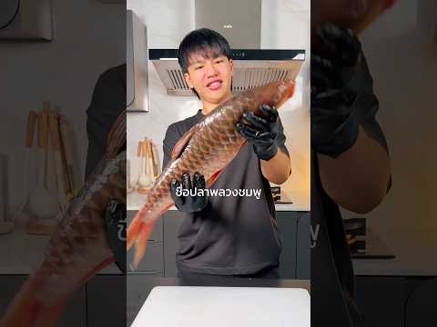 ลองกินปลาที่แพงที่สุดในเอเชียอาคเนย์🐟 #ปลาพลวงชมพู