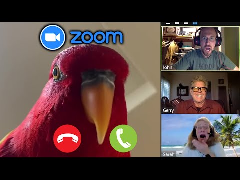 trolling zoom classes... but a "bird" took my PHONE