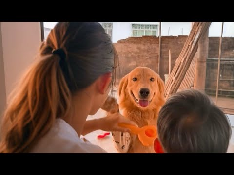 I Rescued My Neighbor’s Lonely Dog. What Happened Next Melted Me