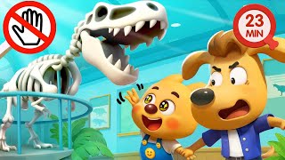 Dinosaur Museum Adventure | Learn Dinosaurs | Kids Cartoon | Sheriff Labrador