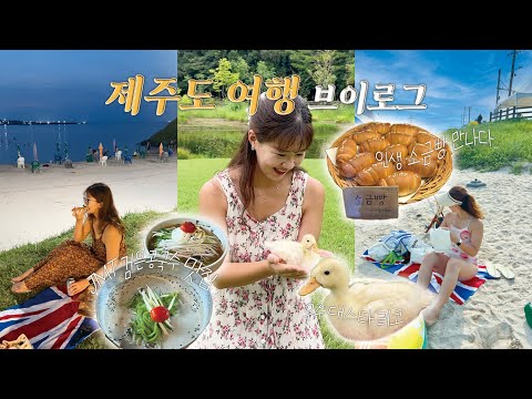 (ENG) 올해 4번째 제주도 여행 vlog 🏝️ | 동쪽 감성숙소추천,고양이소품샵,인생피자맛집,신흥해수욕장 물놀이,오리있는 카페,검은콩국수 맛집🪿