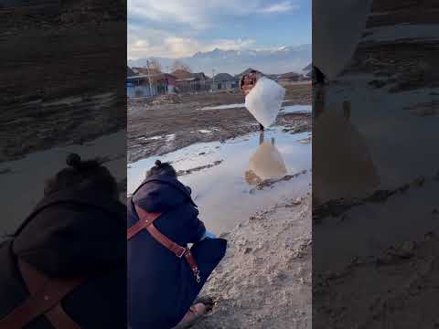 Weddings with baccidents😆#bridal #funny#funnyvideo#prank#haha#fyp#foryou