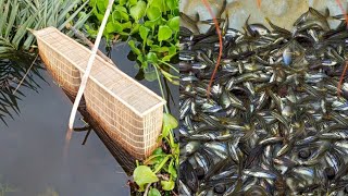 নতুন পানিতে ছোট মাছ ধরলাম|মাছ ধরার ভিডিও