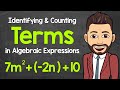 Understanding Algebraic Expressions