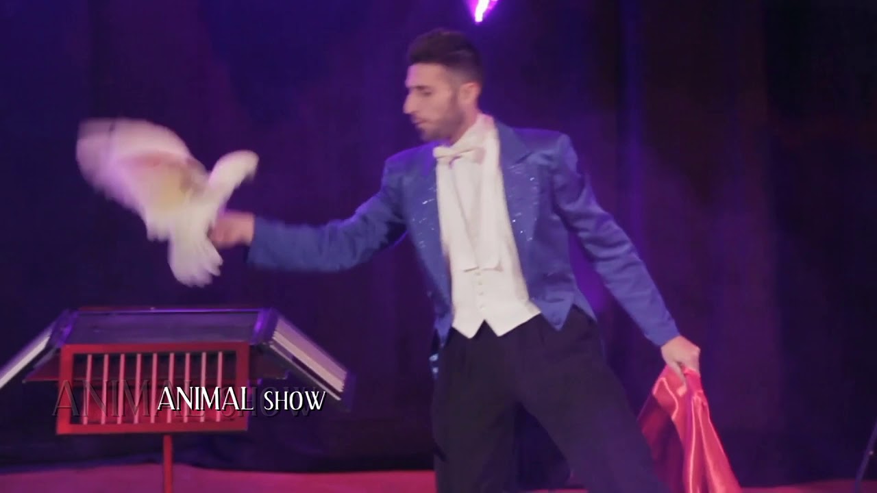 YurIllusionist