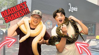 TOP FIVE SNAKE COUNTDOWN!!!!!