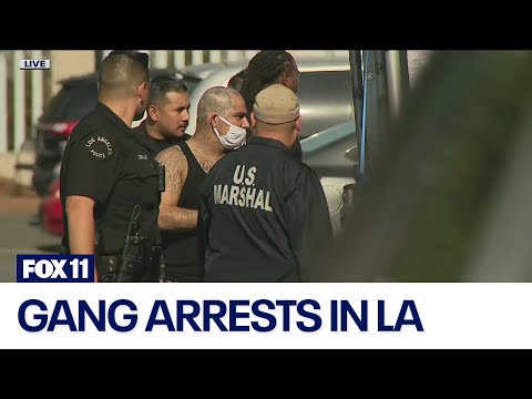 Gang arrests in downtown LA