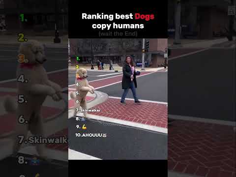 Ranking best Dogs copying human🐶😂/pls subscribe❤️#shorts