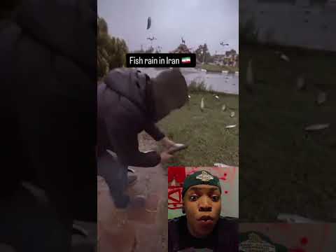 Lluvia de animales #animales #criadero #videoviral #funny
