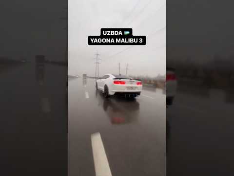 Malibu 3 endi o'zbekistonda