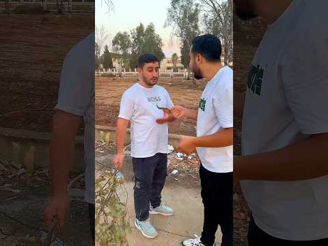 كل واحد ع قد مصرياتو !