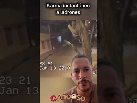 KARMA INSTANTÁNEO A LADRONES 🐻😇 #increible #ladron #robar #interesante