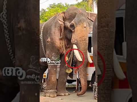 ശരൺ അയ്യപ്പന്റെ ഇപ്പോഴത്തെ അവസ്ഥ?അടുത്ത് ഇവനെയും പറഞ്ഞു വിടാൻ ആണോ.? എല്ലാവരും പ്രതികരിക്കണം??