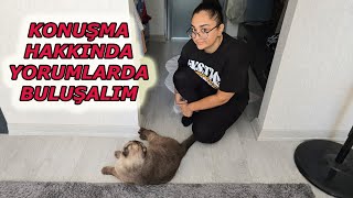 YENİ DÖVME SAMİMİ İTİRAFLAR VE DERTLEŞME