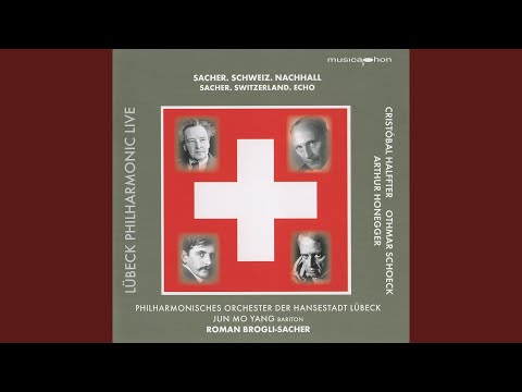 Nachhall, Op. 70: No. 8. Der falsche Freund