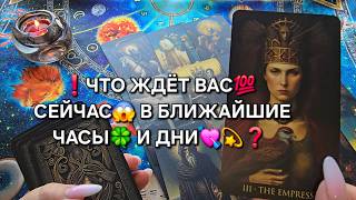 ❗Что ждет вас💯 сейчас😱 в ближайшие часы🍀 и дни💗🔥❓ Таро расклад🧿 гадание онлайн