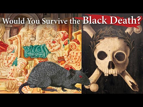 The Black Death & Quarantining with The Decameron | A History of Bubonic Plague