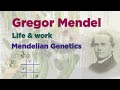 Mendelian Genetics Concepts