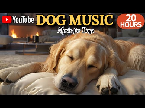 강아지가 좋아하는 음악💖🦮강아지 수면 음악 20시간 연속🎵🐶장시간 외출에도 불안하지 않게 도와주는 음악💤힐링 효과도 최고 by 힐링메이트