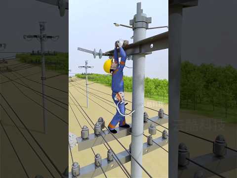 Bird Electric Shock ⚡ Wire Accident #shorts #3danimation