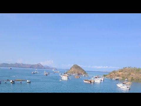 Komodo Islands Wild Charles LIVE!