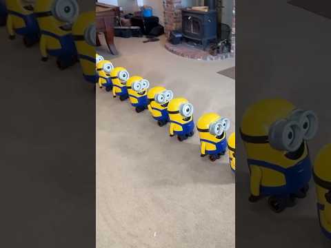 I Made Real Life MINIONS