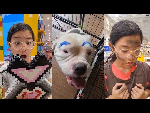 Too Cute Doggo‼️ Most Fun😆🥰  | JJaiPan Shorts Compilation #shorts