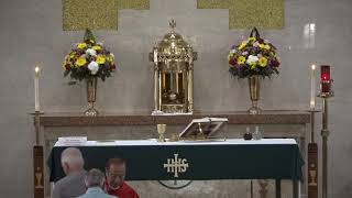 Monday, St Peter & St Paul, Apostles, Mass with Fr. Art Mateo, MSC (06.29.2026)