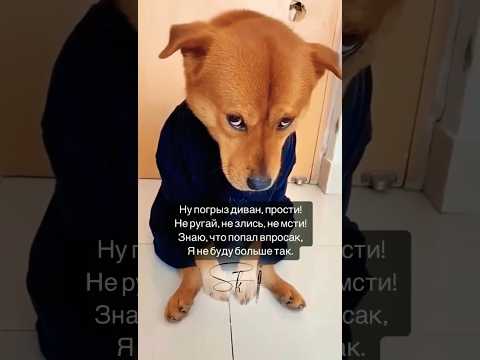 Эксклюзивное поздравление в стихих ➡️ читай описание
