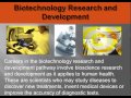 Healthcare Career Pathways and Skills