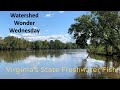 Brook Trout Habitat and Conservation