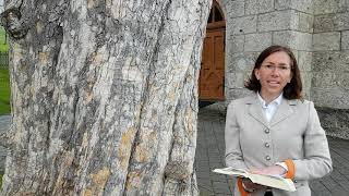 Verwurzelt in Jesus Christus