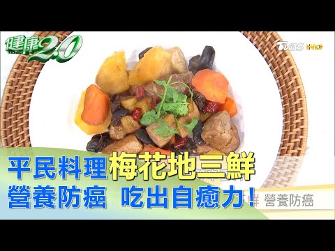 吃出自癒力！平民料理梅花地三鮮 營養防癌 健康2.0