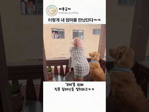 이렇게 네 엄마를 만났단다ㅋㅋ