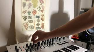 Merveilles De La Mer {Minilogue Ambient #2}