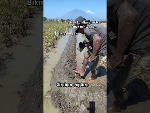 Pejuang nafkah.