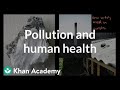 Understanding Pollution and Health